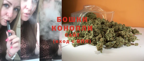 индика Балахна