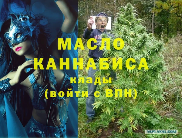 индика Балахна