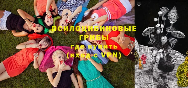 индика Балахна