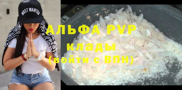 индика Балахна