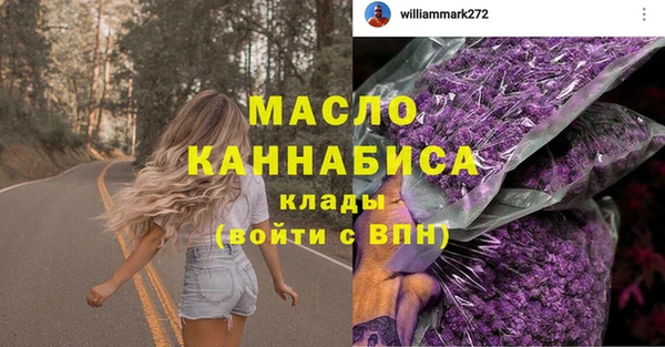 индика Балахна