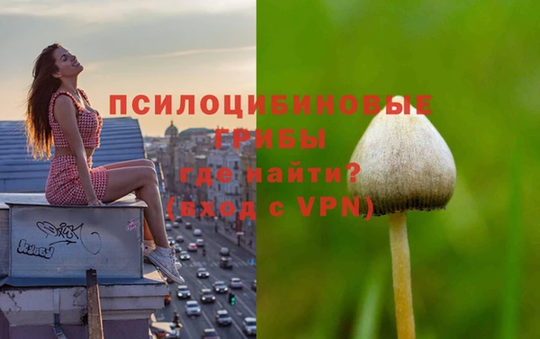 индика Балахна